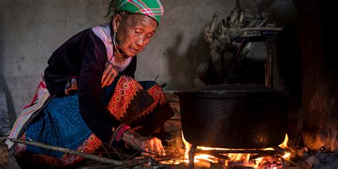 The Bamboo Tree Reveals Timeless Vietnamese Wisdom Through An Intriguing Folk Tale!